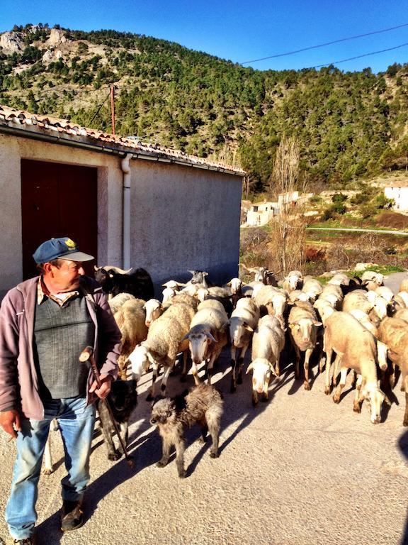 Casas Rurales Vegasierra Bogarra Esterno foto