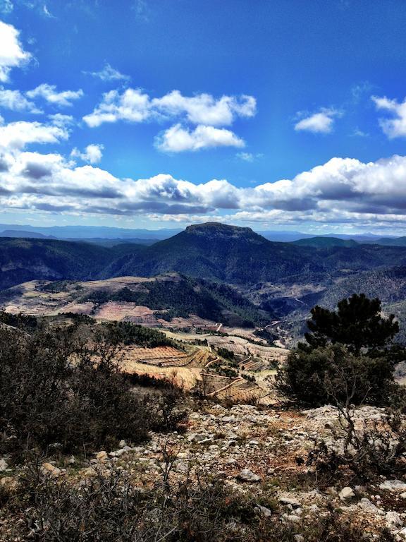 Casas Rurales Vegasierra Bogarra Esterno foto